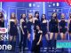 Download WJSN Comeback Show Sequence Subtitle Indonesia